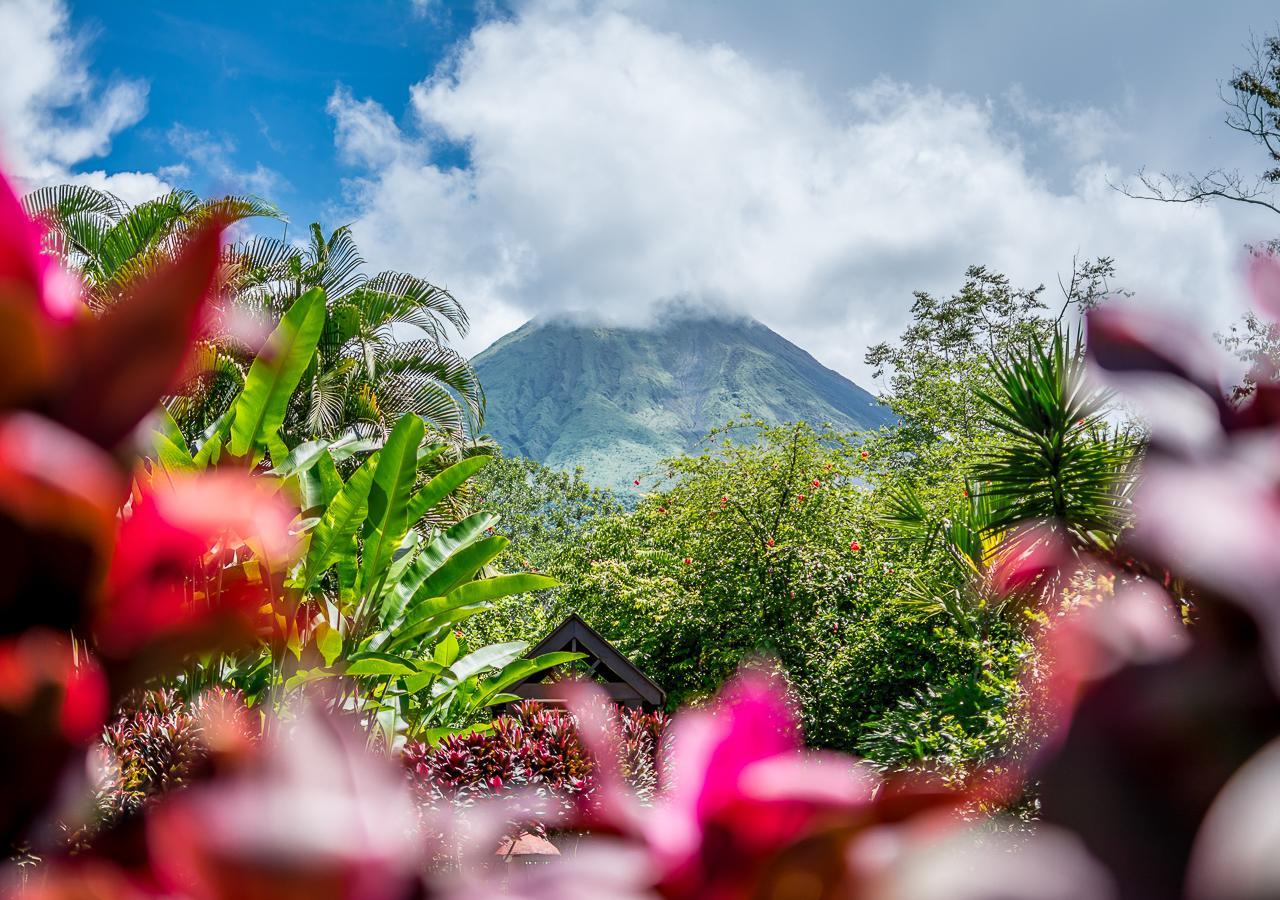 La Fortuna Hotel El Silencio Del Campo מראה חיצוני תמונה